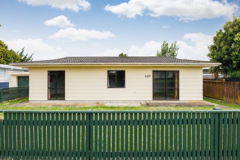 Photo of property in 107 Tremaine Avenue, Westbrook, Palmerston North, 4412