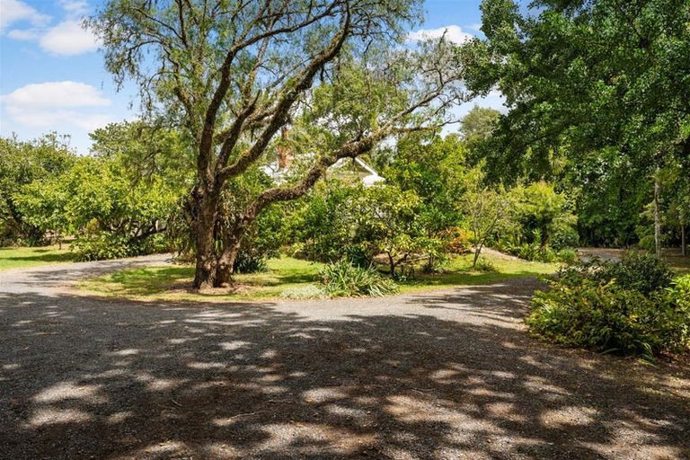 Photo of property in 290 Paihia Road, Kawakawa, 0282