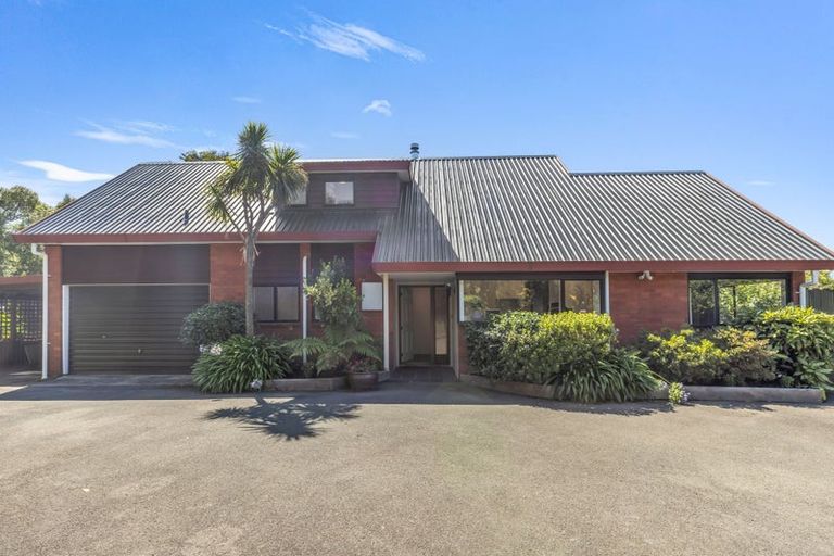 Photo of property in 6 Milne Place, Richmond, 7020