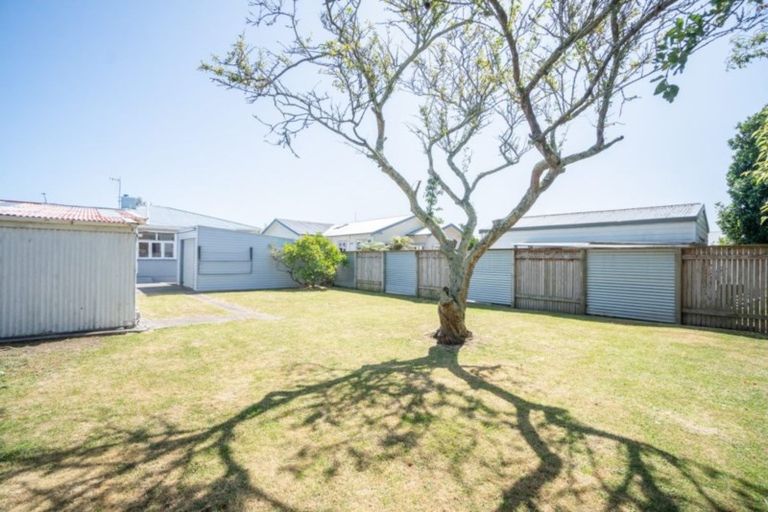 Photo of property in 67 Shamrock Street, Takaro, Palmerston North, 4412