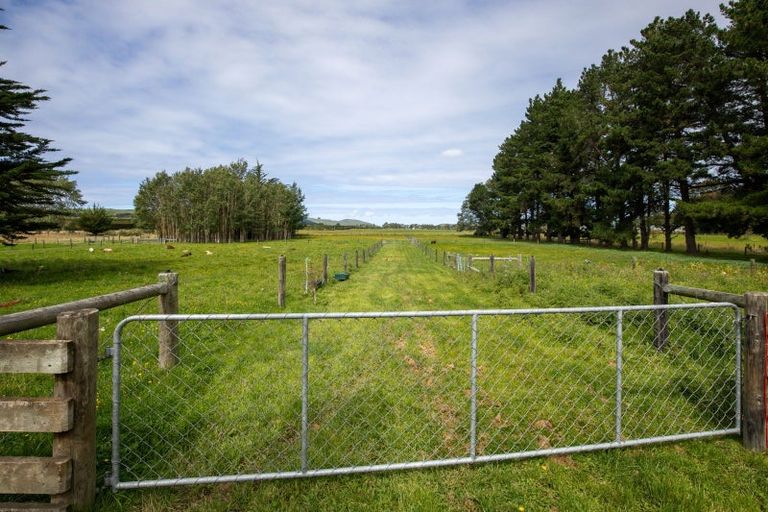 Photo of property in 657 Domett Road, Domett, Cheviot, 7382