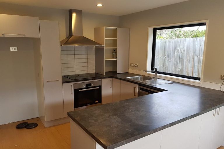 Photo of property in 117b Nursery Road, Phillipstown, Christchurch, 8011