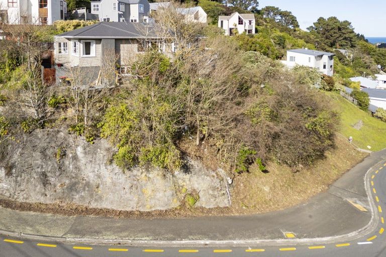 Photo of property in 33 Liardet Street, Vogeltown, Wellington, 6021