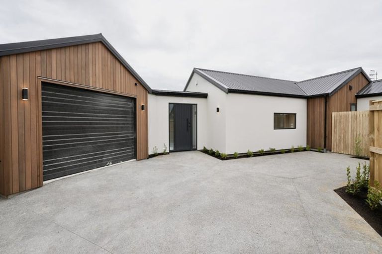 Photo of property in 17c Brightwater Terrace, Terrace End, Palmerston North, 4410