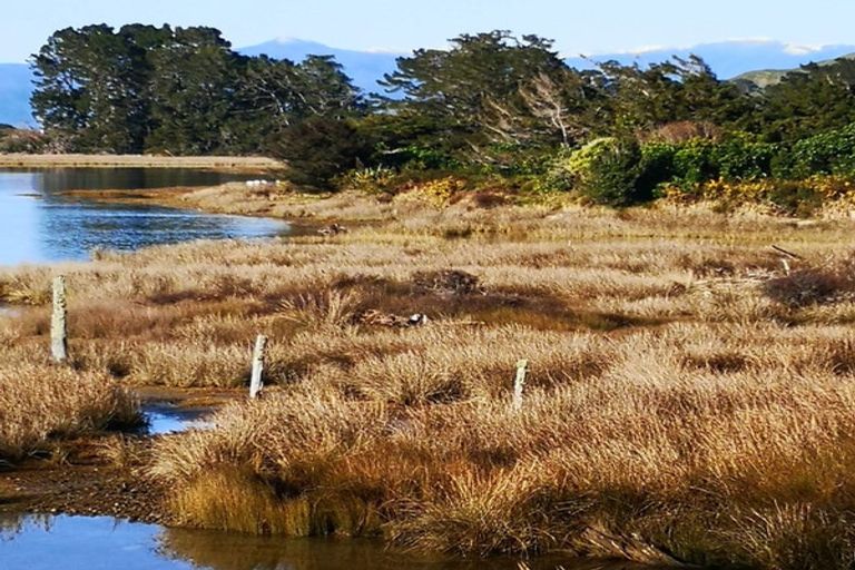 Photo of property in 9 Pakawau-bush Road, Pakawau, Collingwood, 7073