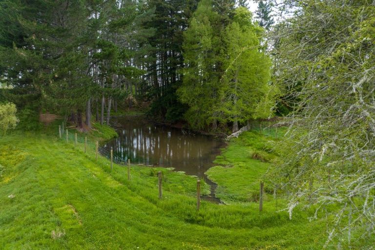 Photo of property in 463 Pickering Road, Tamahere, Hamilton, 3283