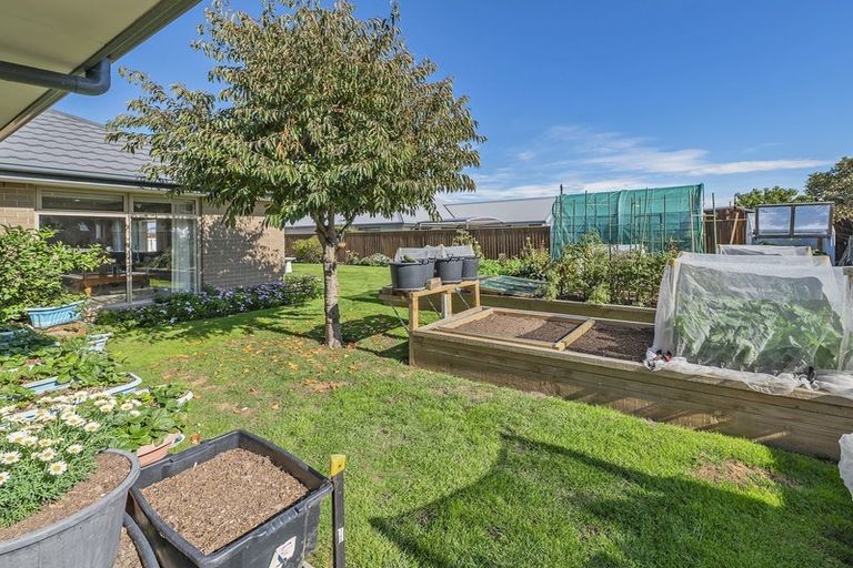 Photo of property in 47 Navy Loop, Rolleston, 7614