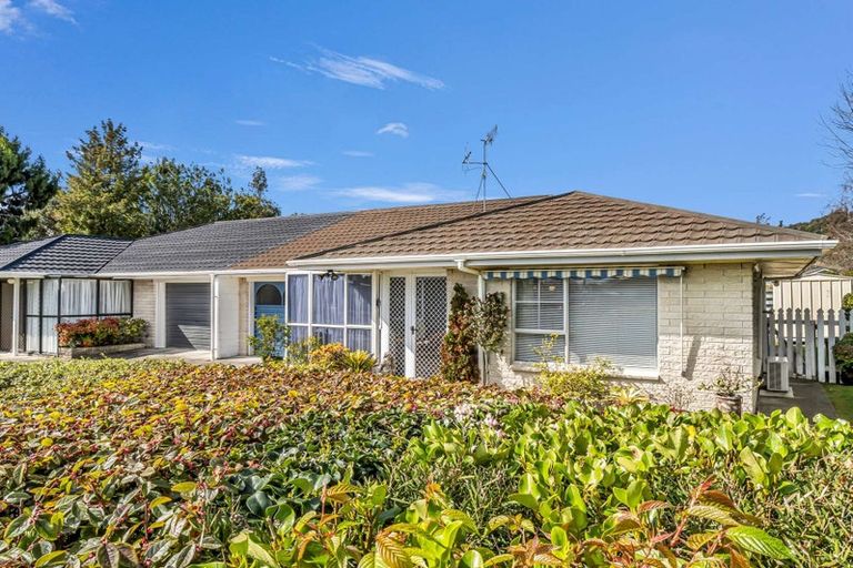 Photo of property in 171b King Street, Whakatane, 3120