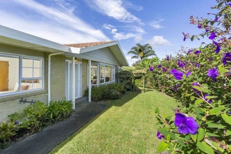 Photo of property in 3 Delisle Place, Windsor Park, Auckland, 0632