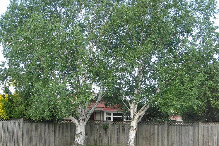 Photo of property in 26 Murphys Road, Springlands, Blenheim, 7201