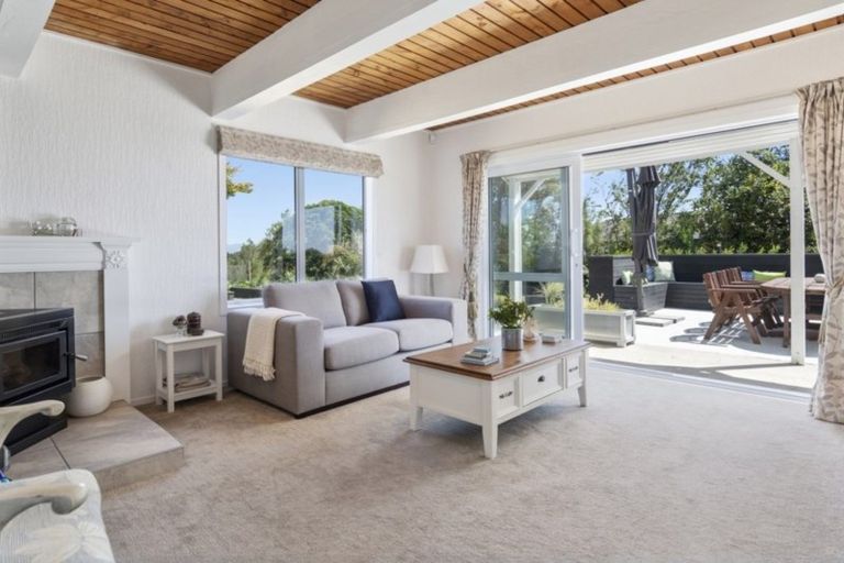 Photo of property in 286 Youngson Road, Whakamarama, Tauranga, 3179