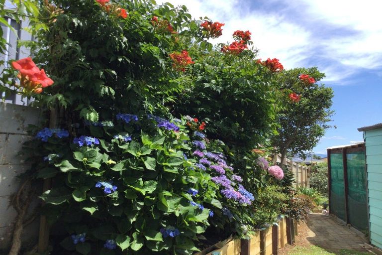 Photo of property in 104 Hays Place, Thames, 3500