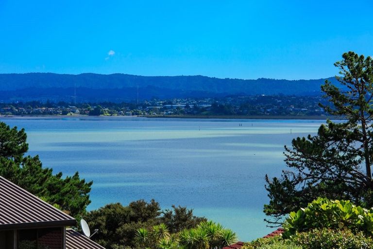 Photo of property in 8 Eucalyptus Place, Beach Haven, Auckland, 0626