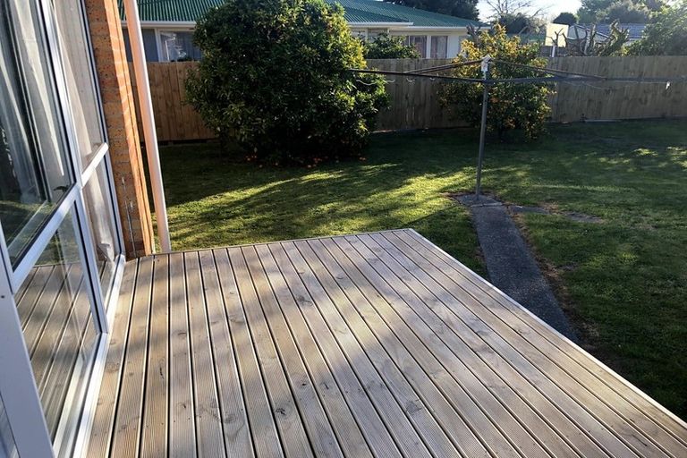 Photo of property in 19 Ryan Avenue, Chartwell, Hamilton, 3210