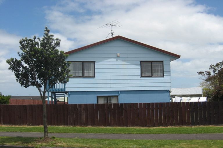 Photo of property in 153 Finlayson Avenue, Clendon Park, Auckland, 2103