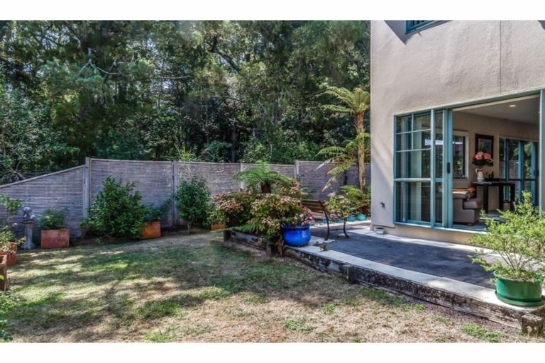 Photo of property in 13l Eban Avenue, Hillcrest, Auckland, 0627