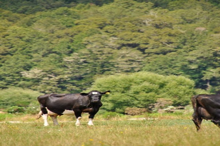 Photo of property in 158 Shillingford Boulevard, Rolleston, 7615