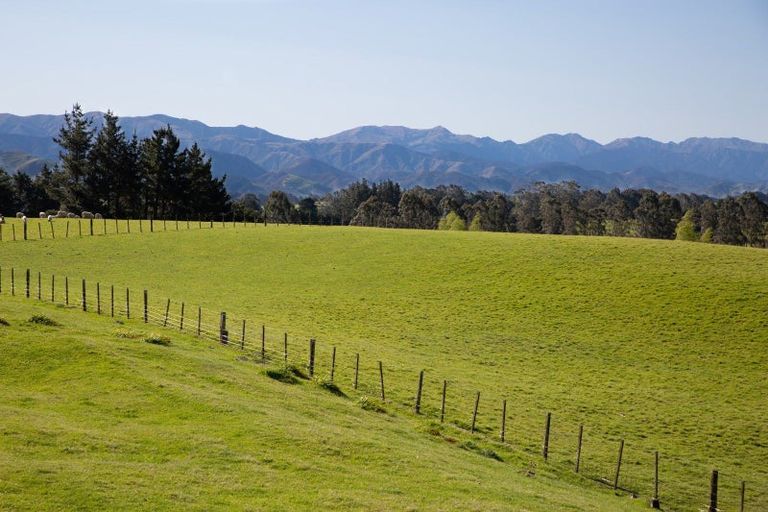 Photo of property in 4 Viking Street, Norsewood, 4974