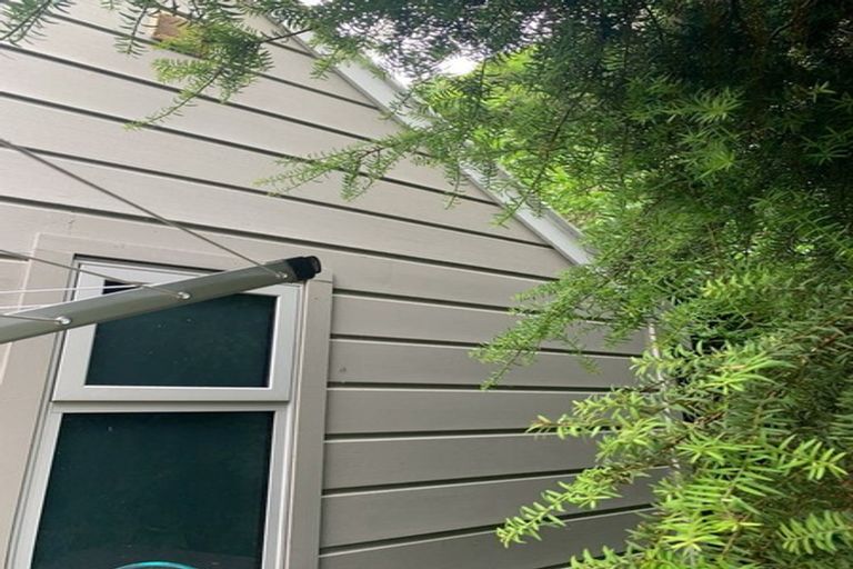 Photo of property in 45 Farnham Street, Mornington, Wellington, 6021