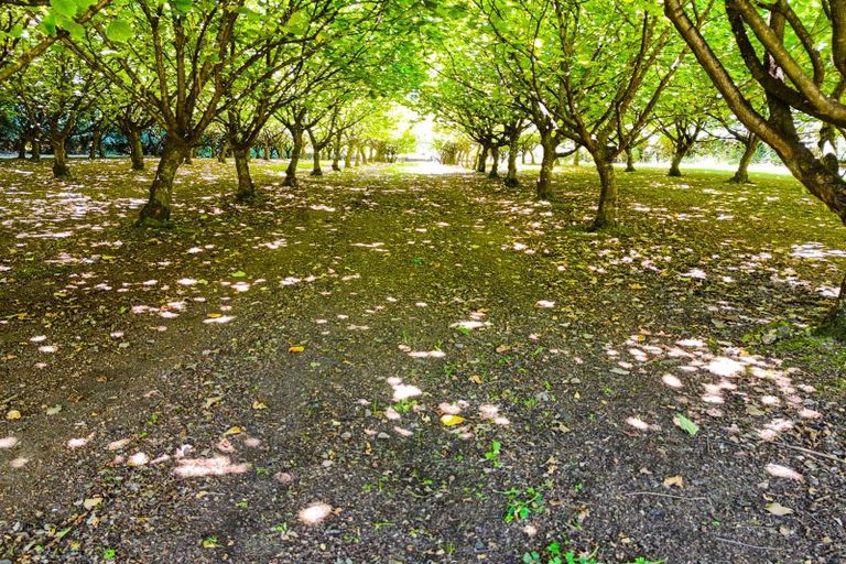 Photo of property in 459 Flora East, Makarewa, Invercargill, 9876