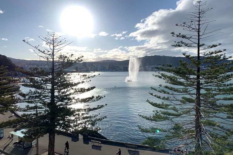 Photo of property in Olympus Flats, 1/280 Oriental Parade, Oriental Bay, Wellington, 6011