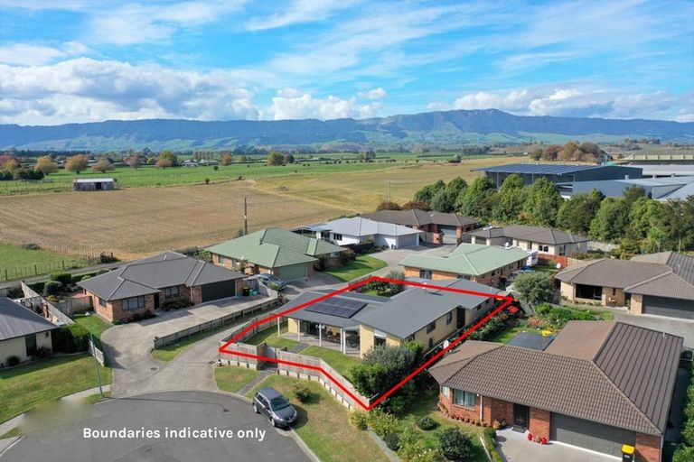 Photo of property in 13 Nikau Place, Matamata, 3400
