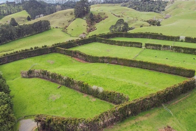 Photo of property in 79 Beaver Road, Pukekohe East, Pukekohe, 2677