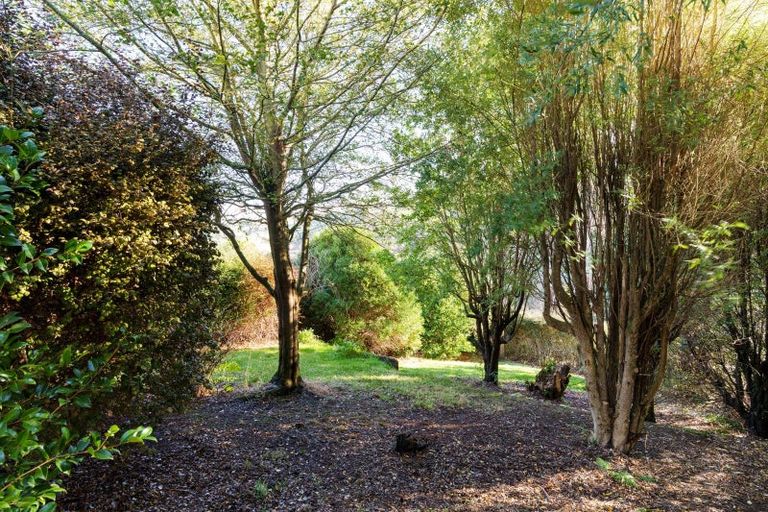 Photo of property in 28 Barr Street, Kenmure, Dunedin, 9011