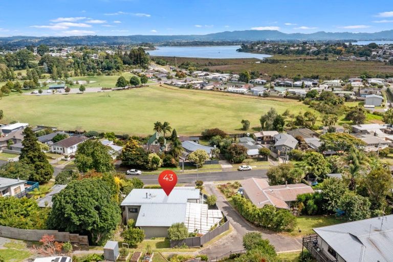 Photo of property in 43 Carlton Street, Bellevue, Tauranga, 3110