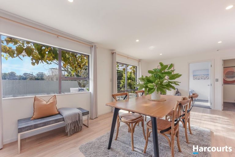 Photo of property in 117 Staples Street, Motueka, 7120