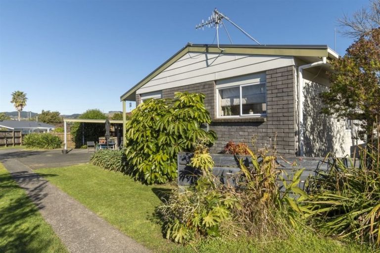 Photo of property in 4 Hinerua Street, Maungatapu, Tauranga, 3112