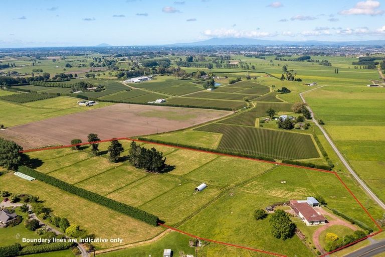 Photo of property in 49 Boyd Road, Gordonton, Hamilton, 3281