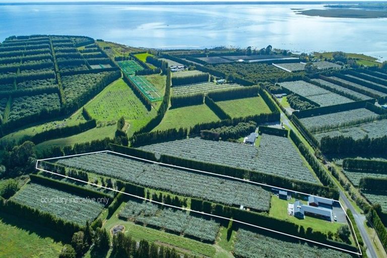 Photo of property in 359 Matahui Road, Aongatete, Katikati, 3181