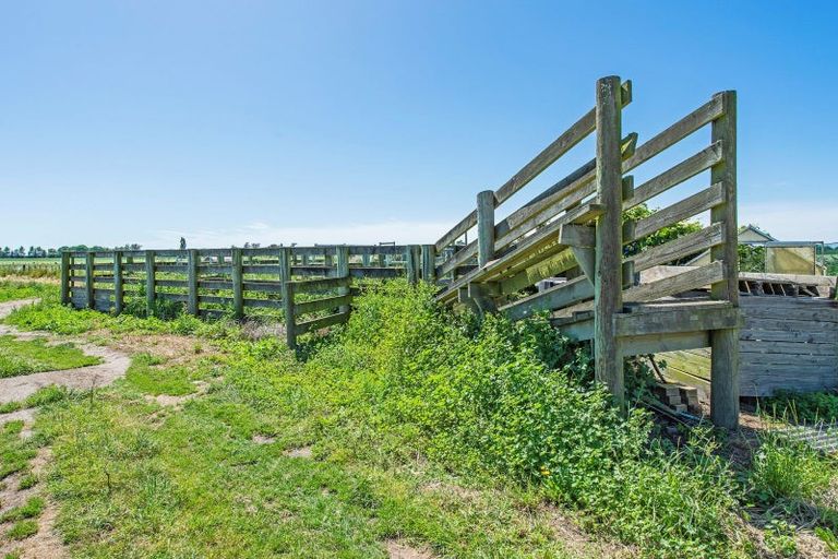 Photo of property in 75 Bealey Road, Leeston, 7683