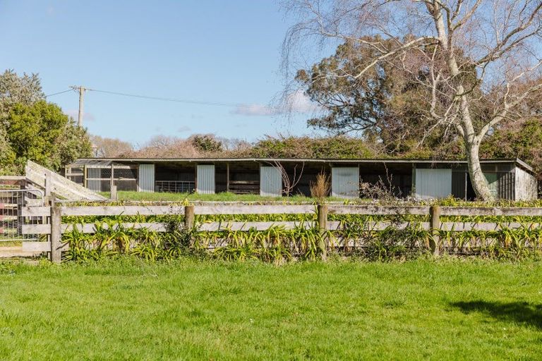 Photo of property in 688 Scarborough Road, Mangamutu, Pahiatua, 4983