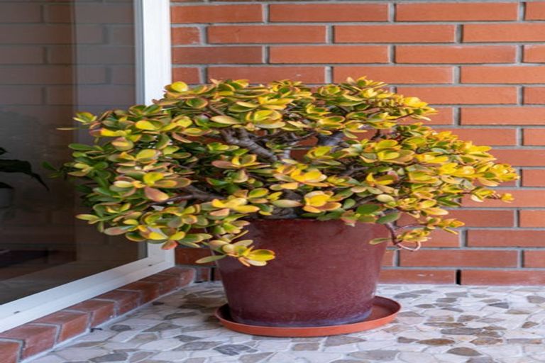 Photo of property in 29 Saffron Street, Cambridge, 3434