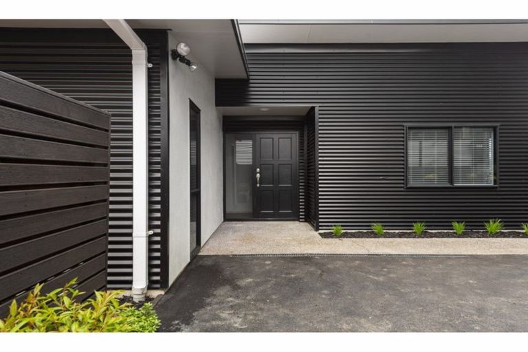 Photo of property in 185 Sixteenth Avenue, Tauranga South, Tauranga, 3112