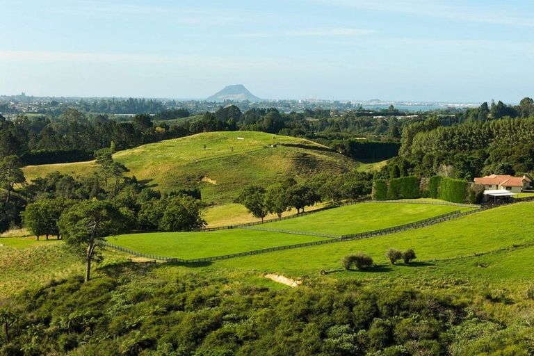 Photo of property in 196c Pukemapu Road, Oropi, 3173