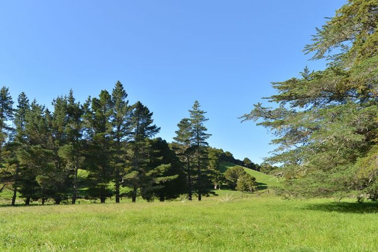 Photo of property in 127 Mcbreen Road, Hikurangi, 0181