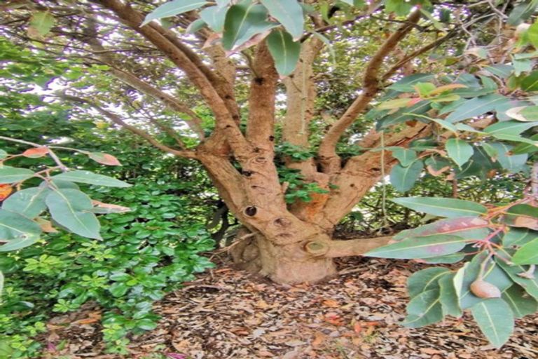 Photo of property in 33 Gawler Street, Te Horo Beach, Otaki, 5581