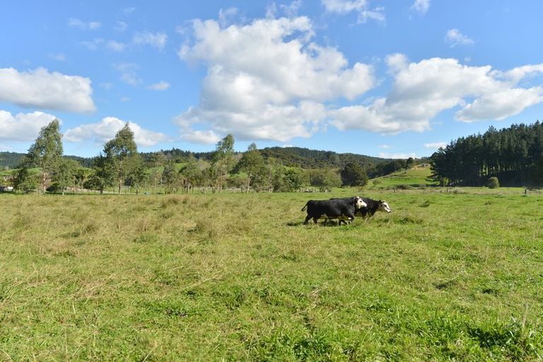 Photo of property in 127 Mcbreen Road, Hikurangi, 0181