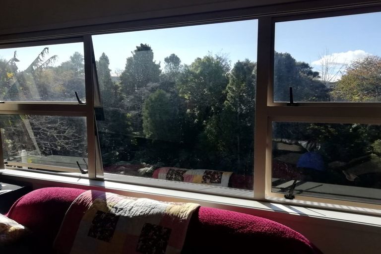 Photo of property in 13a Dunvegan Place, Dinsdale, Hamilton, 3204