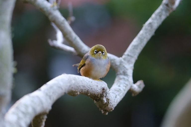 Photo of property in 5 Easdale Street, Kelburn, Wellington, 6012