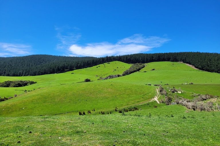 Photo of property in 990 Waihola Highway, Waihola, Outram, 9073