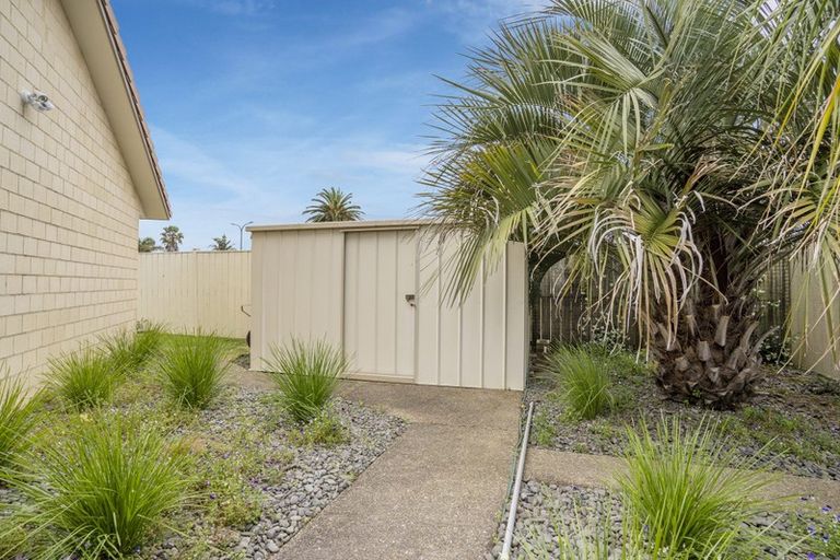 Photo of property in 119 Koutunui Road, Athenree, Katikati, 3177