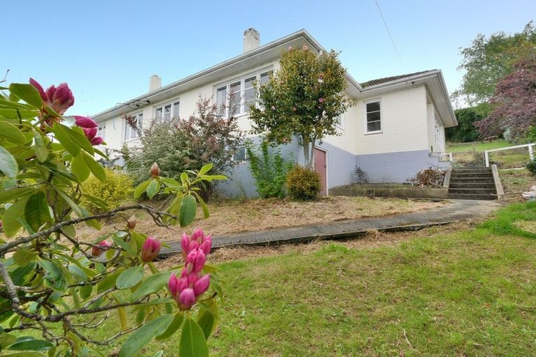 Photo of property in 17 Prospect Bank, Wakari, Dunedin, 9010