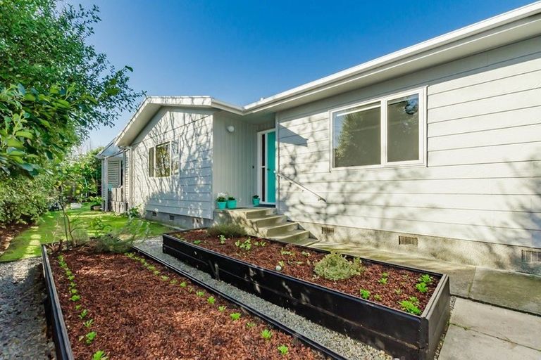 Photo of property in 16 Kanawa Street, Waikanae, 5036