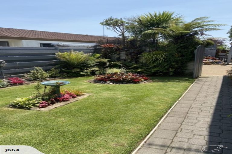 Photo of property in 27b Hayes Avenue, Gate Pa, Tauranga, 3112