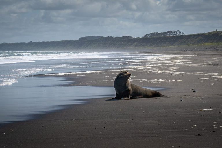 Photo of property in 29a Golf Vue Place, Castlecliff, Whanganui, 4501