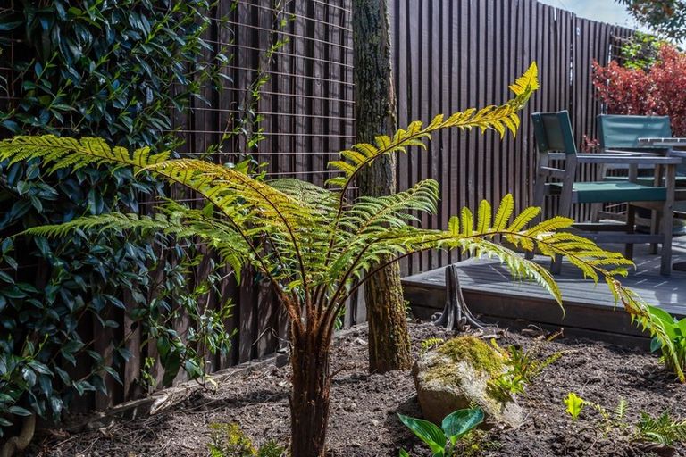 Photo of property in 18a Herbs Place, Cashmere, Christchurch, 8022